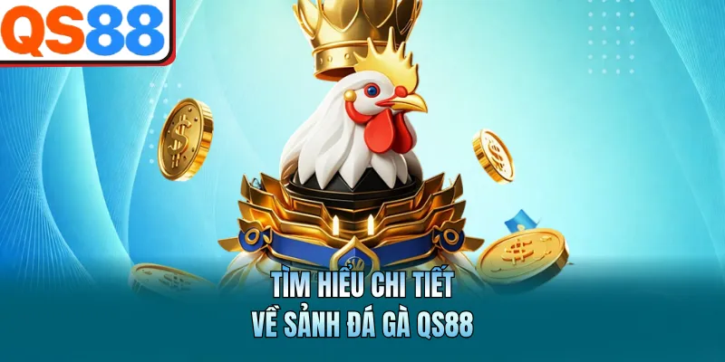 Đá Gà QS88 - Hấp Dẫn, Trực Tiếp Và Mượt Mà Mỗi Ngày 1 Tìm hiểu chi tiết về sảnh đá gà QS88